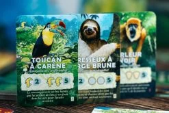 Canopée -Plateau Jeux Magasin canopee 2