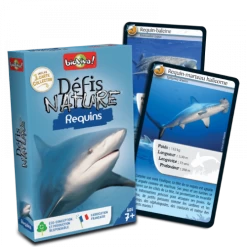 Défis Nature - Requins