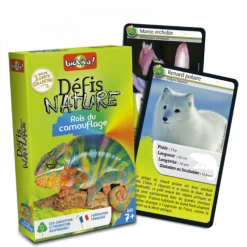 Défis Nature - Rois Du Camouflage