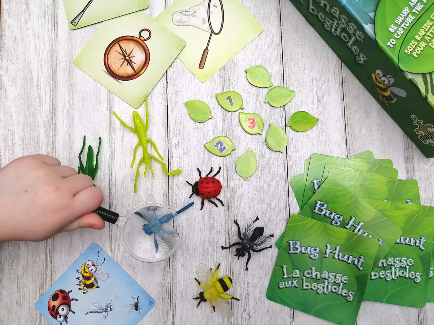 Gladius La Chasse Aux Bestioles 2 Gladius La Chasse Aux Bestioles – Image 2