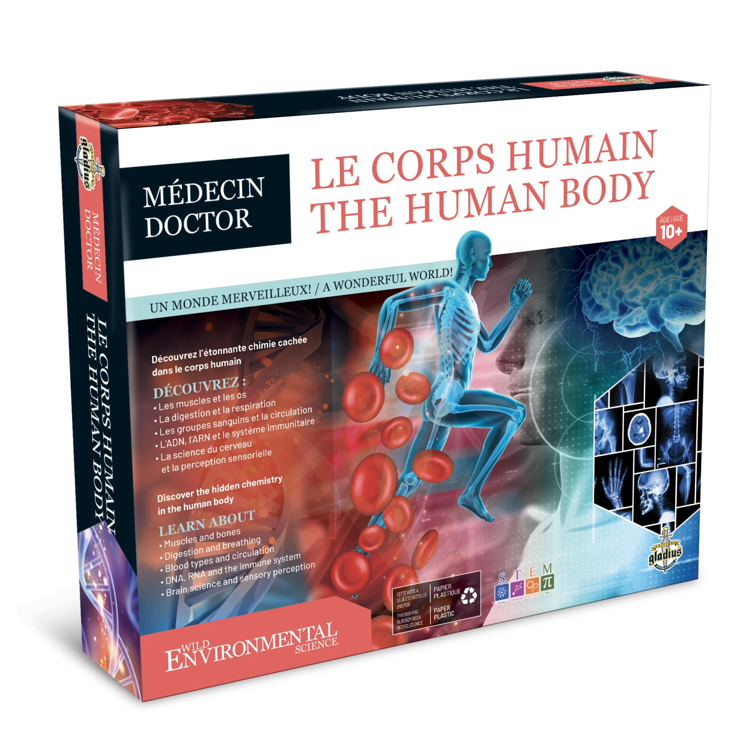 Gladius Médecin - Le Corps Humain 1 Gladius Médecin - Le Corps Humain