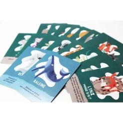 Matagot L'île Des Prédateurs - Microgame (Français) -Plateau Jeux Magasin matagot lile des predateurs microgame francais 2