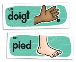 Passe-Temps Vocabulaire Mural Des Parties Du Corps - Passe-temps 6 Passe-Temps Vocabulaire Mural Des Parties Du Corps - Passe-temps -Plateau Jeux Magasin passe temps vocabulaire mural des parties du corps 2