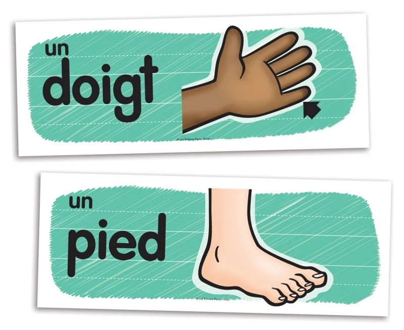 Passe-Temps Vocabulaire Mural Des Parties Du Corps - Passe-temps 3 Passe-Temps Vocabulaire Mural Des Parties Du Corps - Passe-temps – Image 3