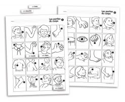 Passe-Temps Vocabulaire Mural Des Parties Du Corps - Passe-temps 7 Passe-Temps Vocabulaire Mural Des Parties Du Corps - Passe-temps -Plateau Jeux Magasin passe temps vocabulaire mural des parties du corps 3