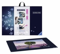 Valise (Mallette) à Casse-tête (Jusqu'à 1000mcx)